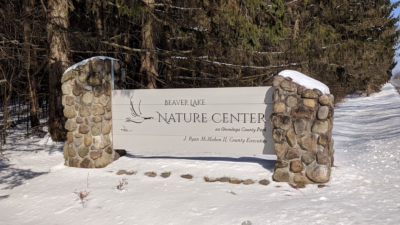 Photo of Others in Baldwinsville