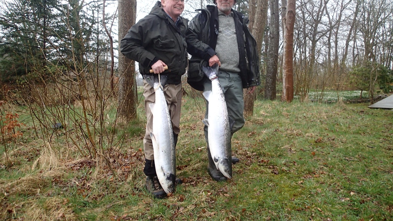 Photo of Others in Kibaek