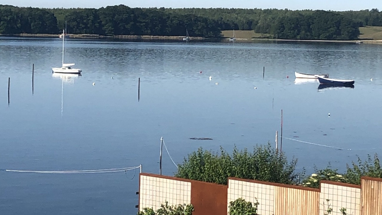 Photo of Others in Middelfart