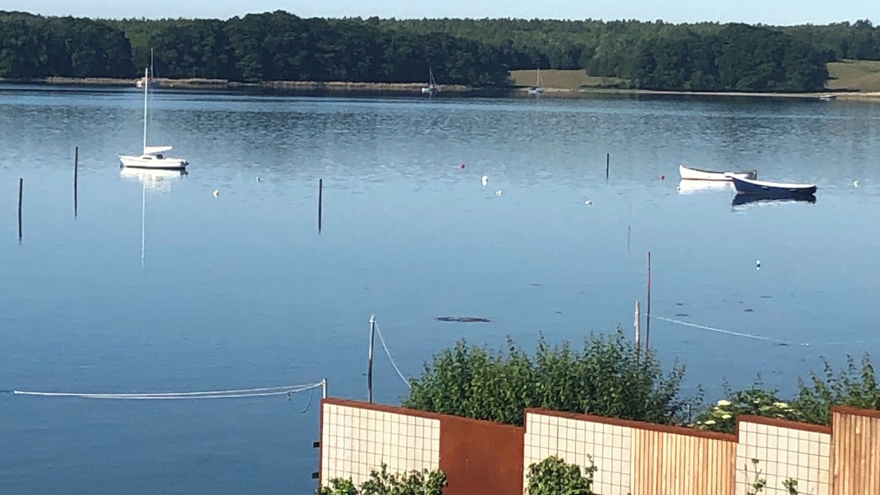 Photo of Outdoor in Middelfart