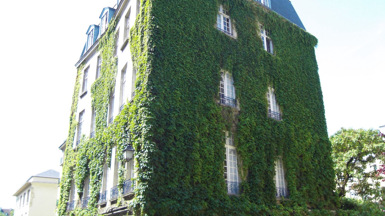 Photo of Outdoor in 4th Arrondissement
