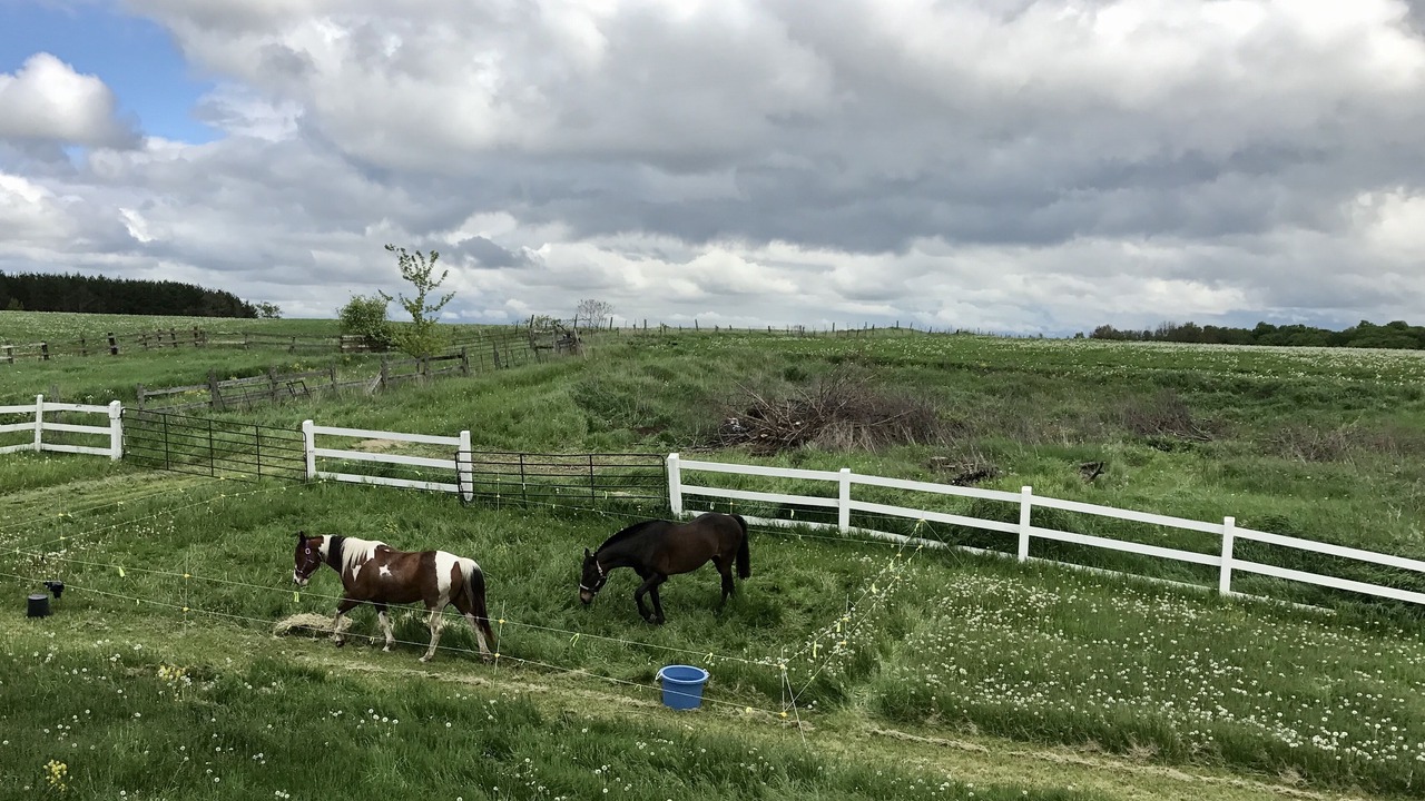 Photo of Outdoor in Creemore