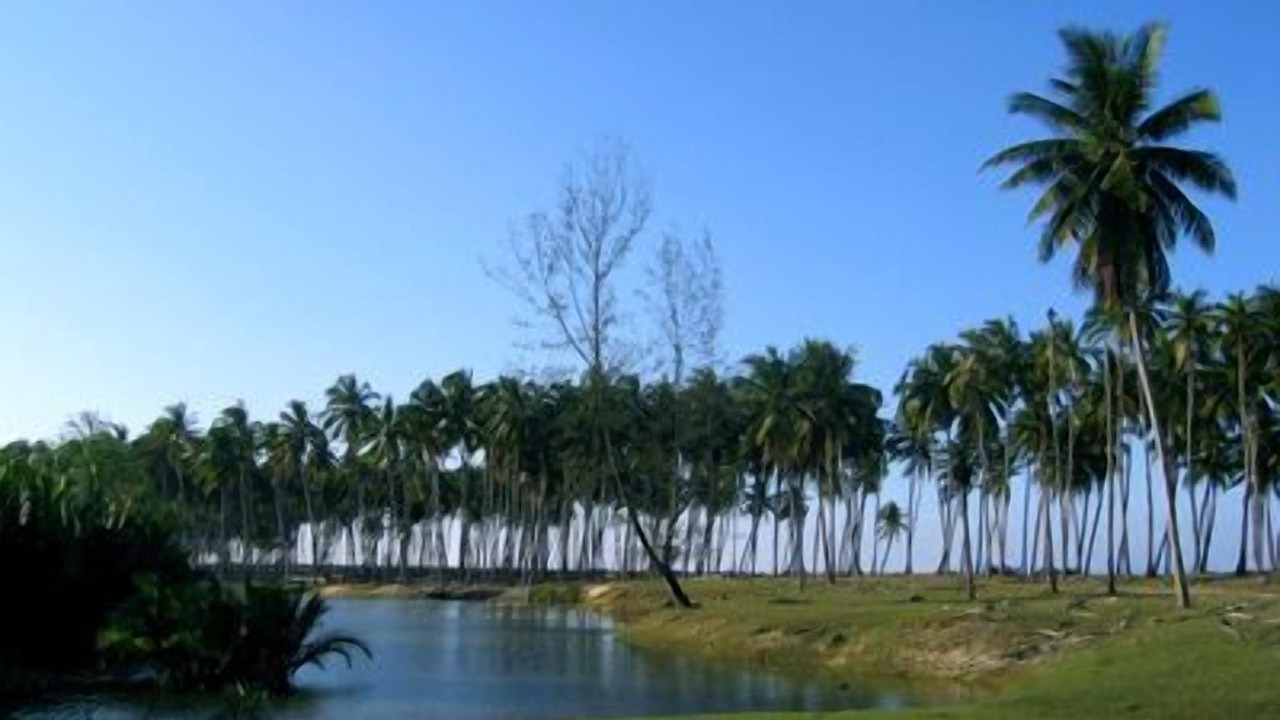 Photo of Others in Pantai Penarik