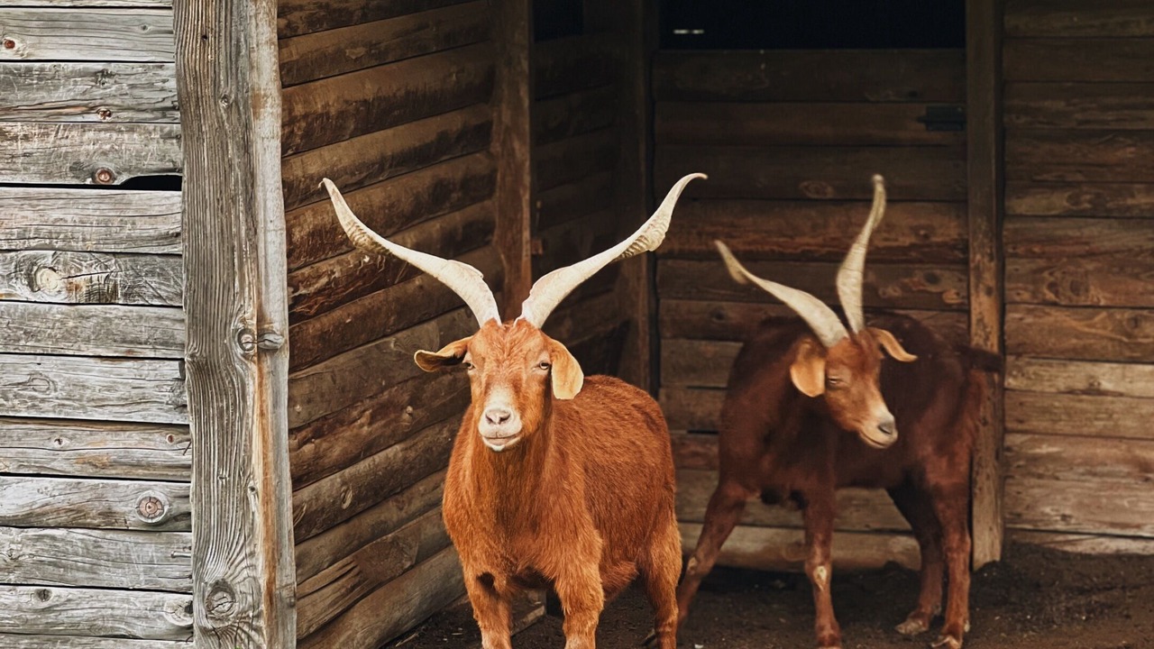 Photo of Outdoor in La Bastide