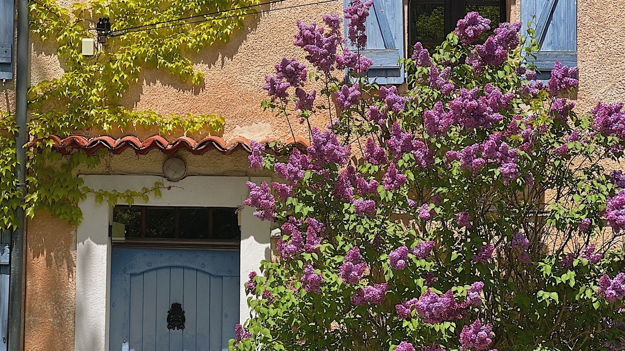 Photo of Outdoor in La Bastide