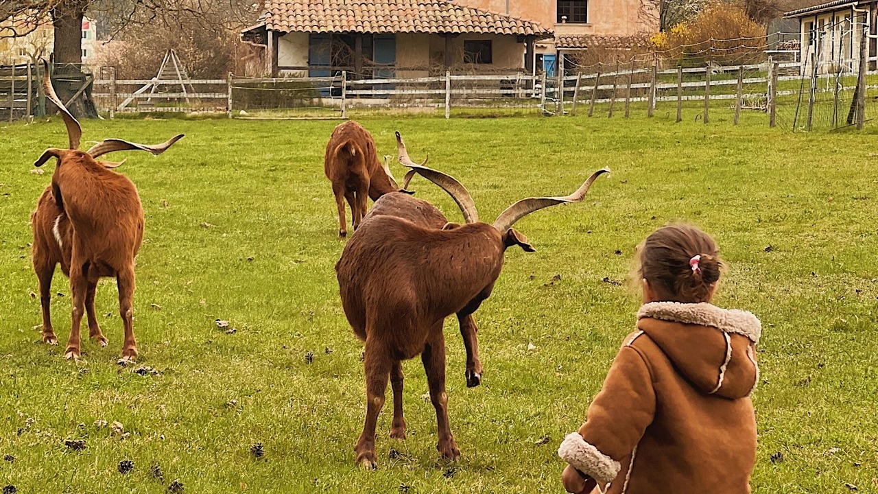Photo of Outdoor in La Bastide