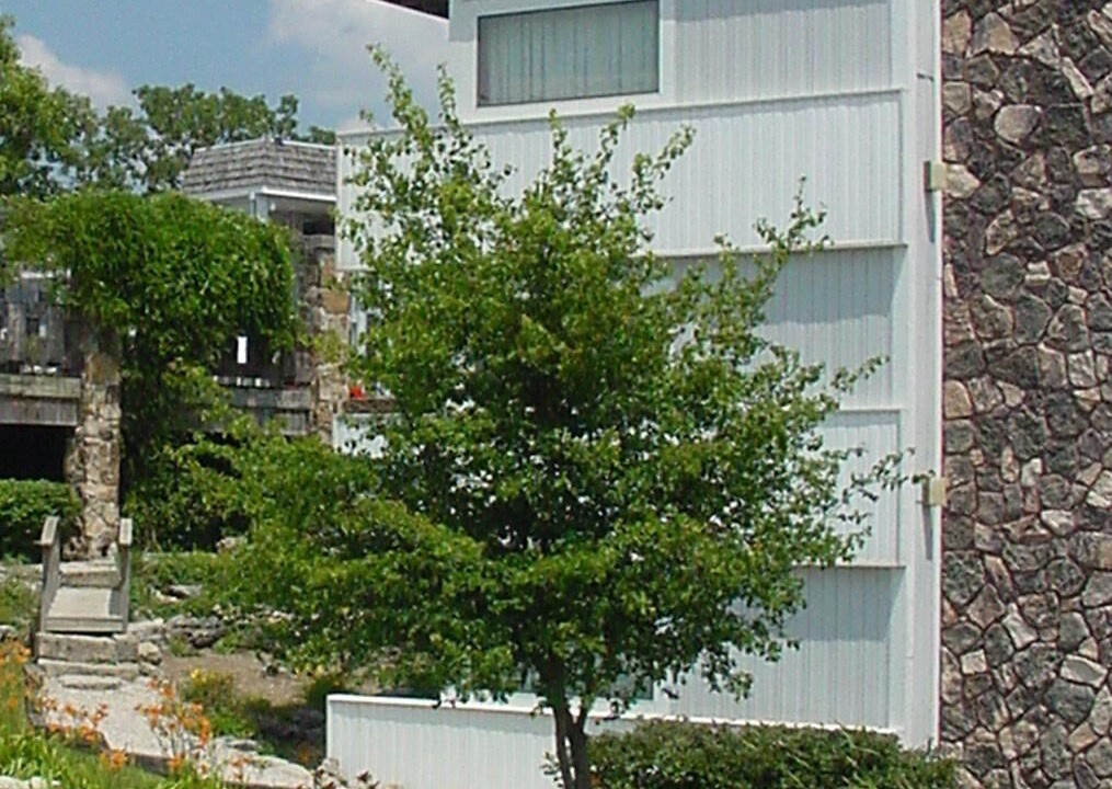 Photo of Outdoor in Osage Beach