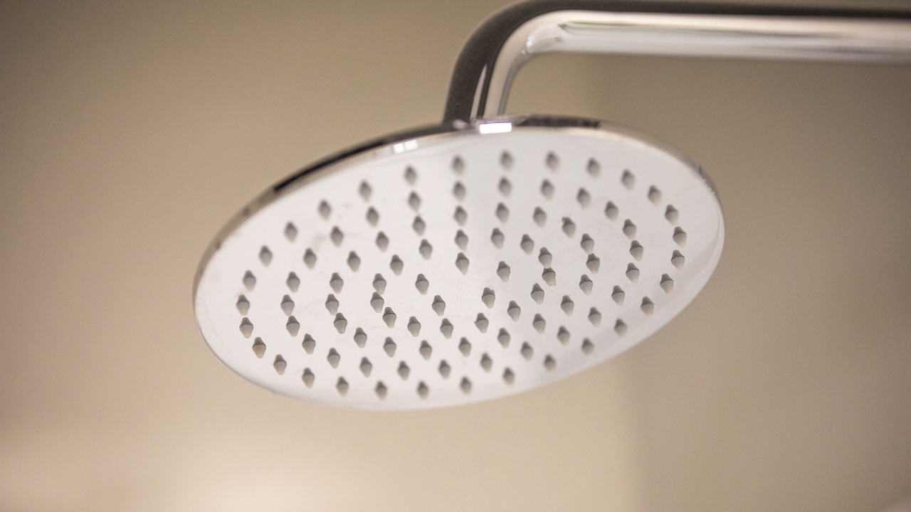 Photo of Bathroom in Chester Hill