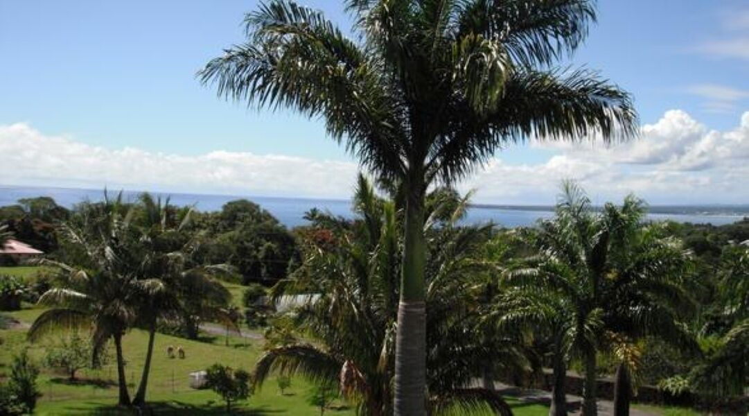 Photo of Bedroom in Papaikou