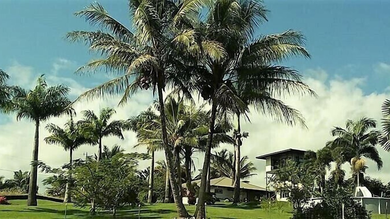 Photo of Others in Papaikou