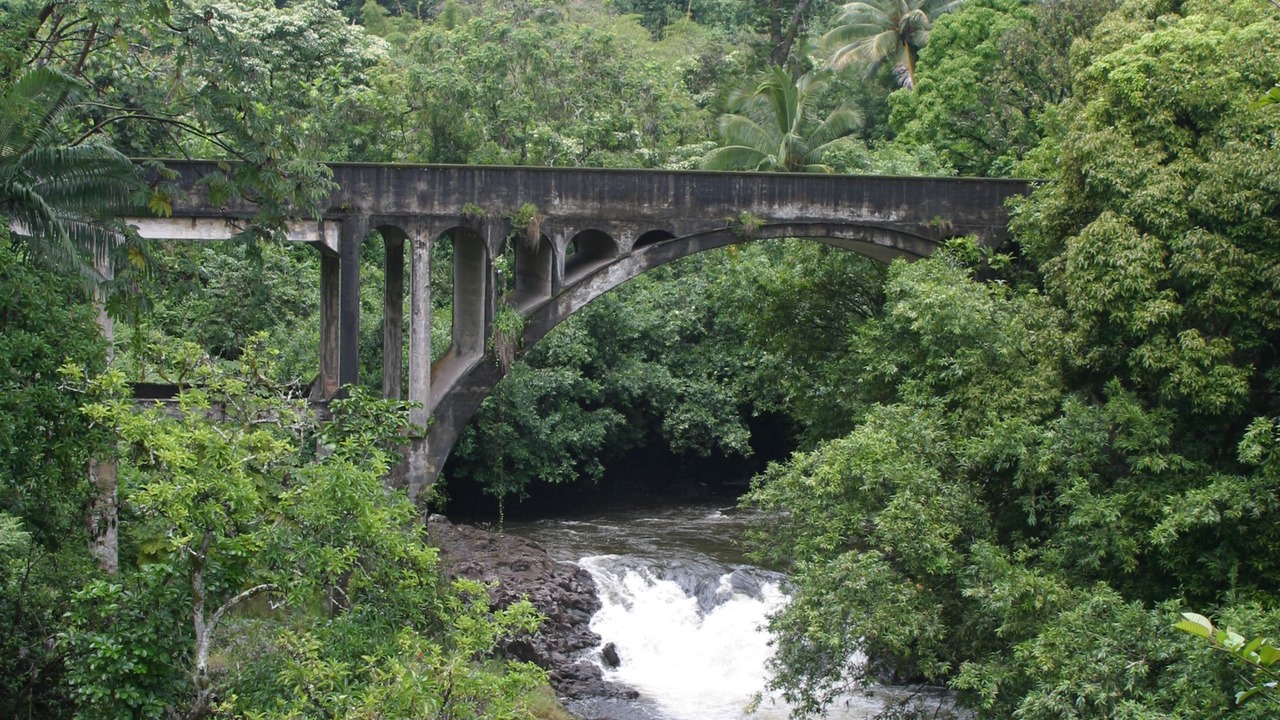 Photo of Outdoor in Papaikou