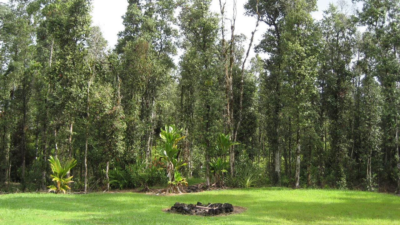 Photo of Outdoor in Keaau