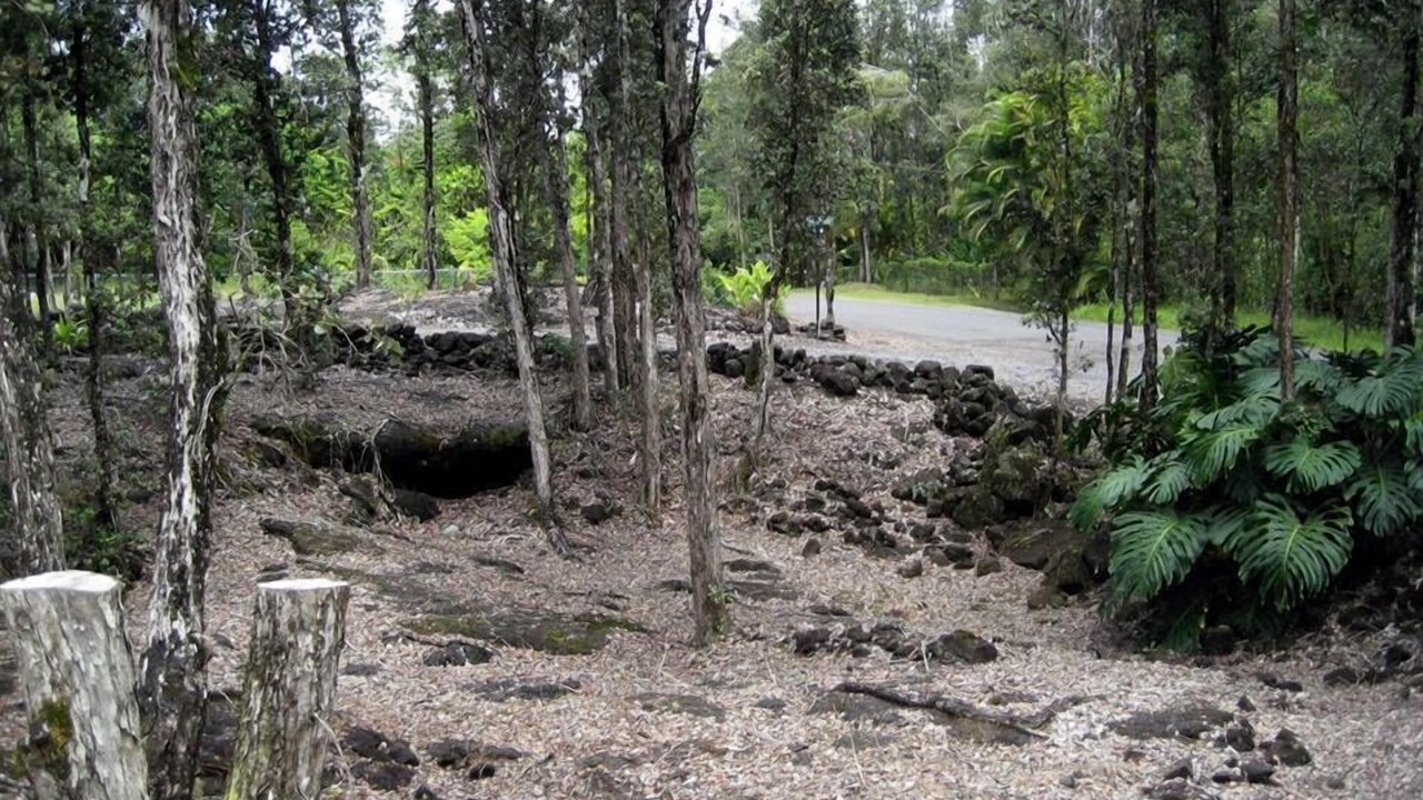 Photo of Outdoor in Keaau