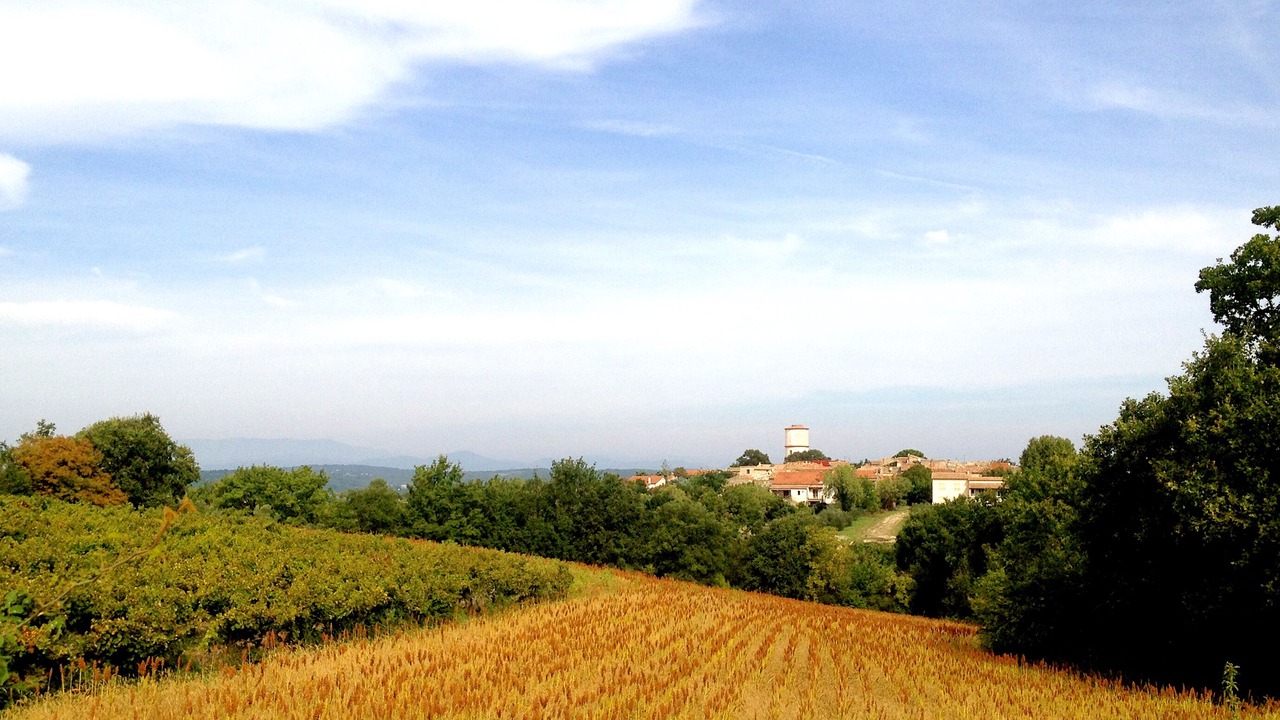 Photo of Others in Saint-Jean-de-Ceyrargues