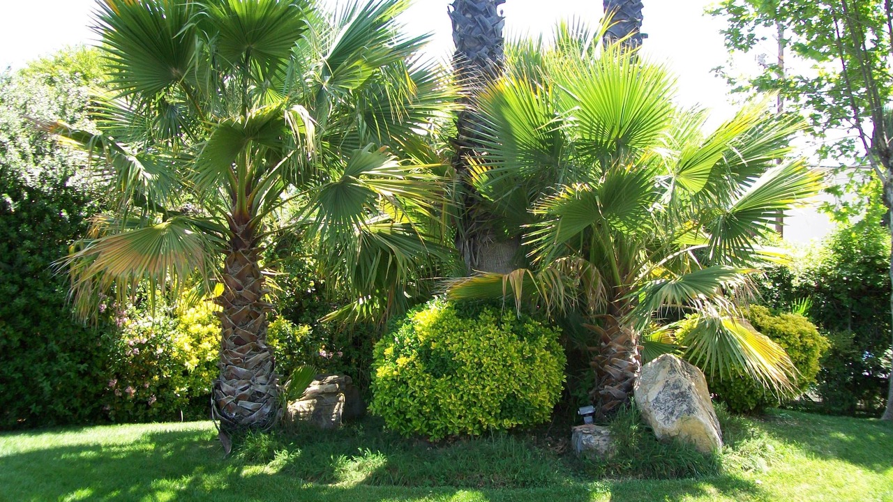 Photo of Outdoor in Paso Robles