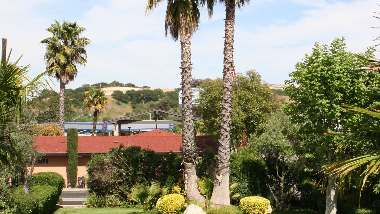 Photo of Outdoor in Paso Robles