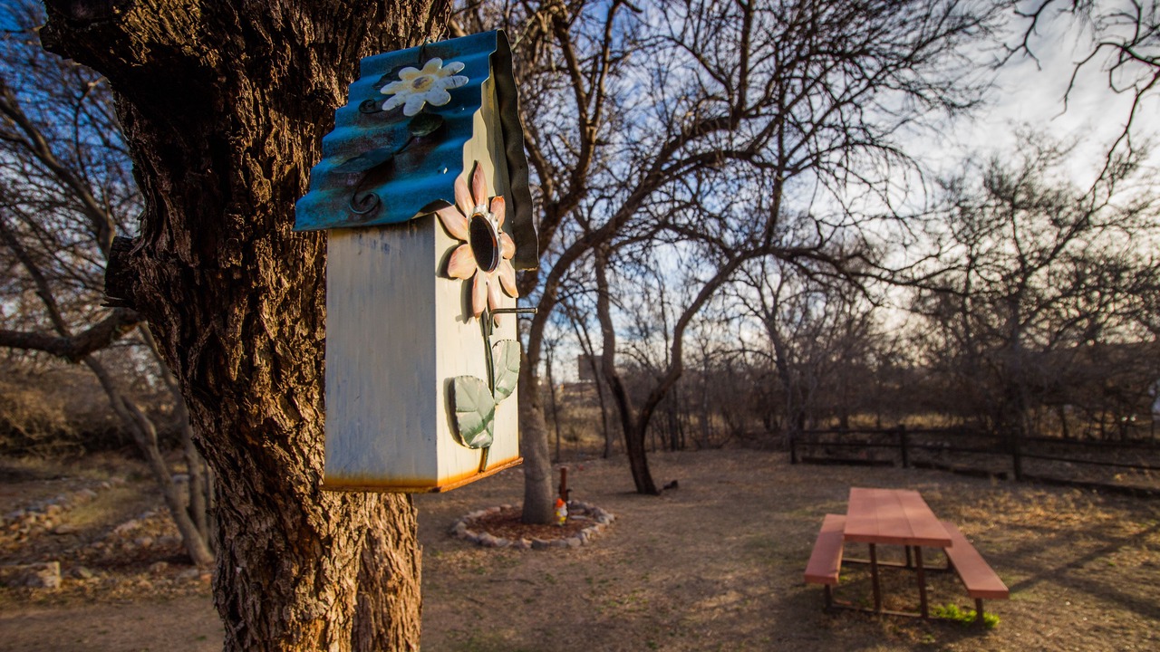 Photo of Outdoor in Tombstone