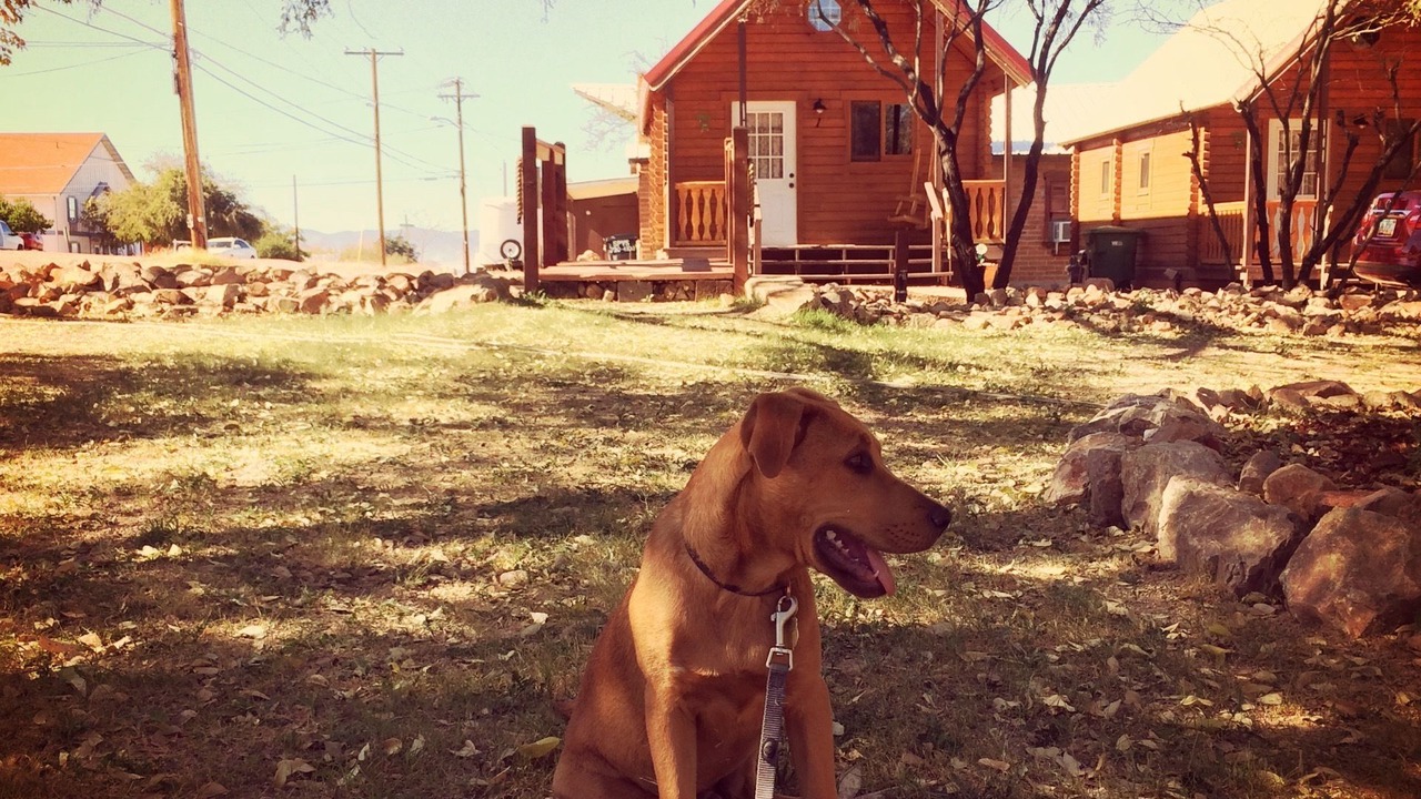 Photo of Others in Tombstone