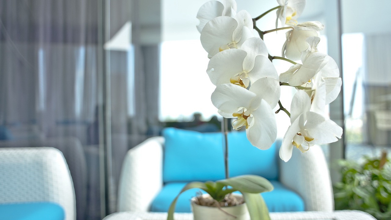 Photo of Others in Cipaganti