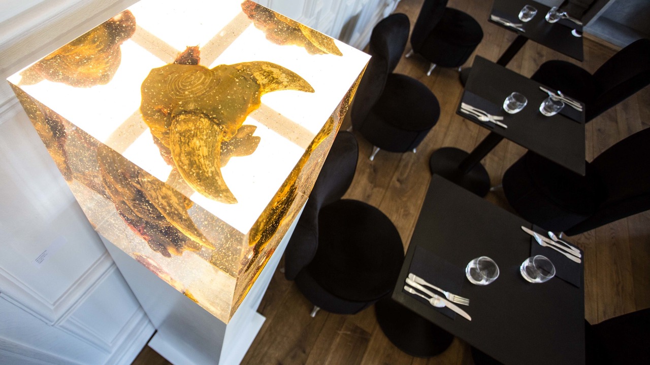 Photo of Others in Old Lille