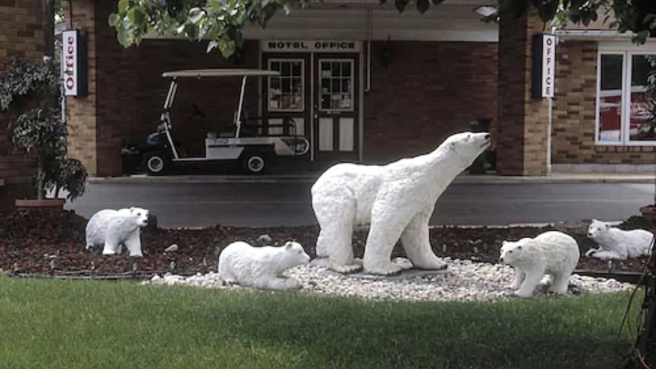 Photo of Outdoor in Windsor