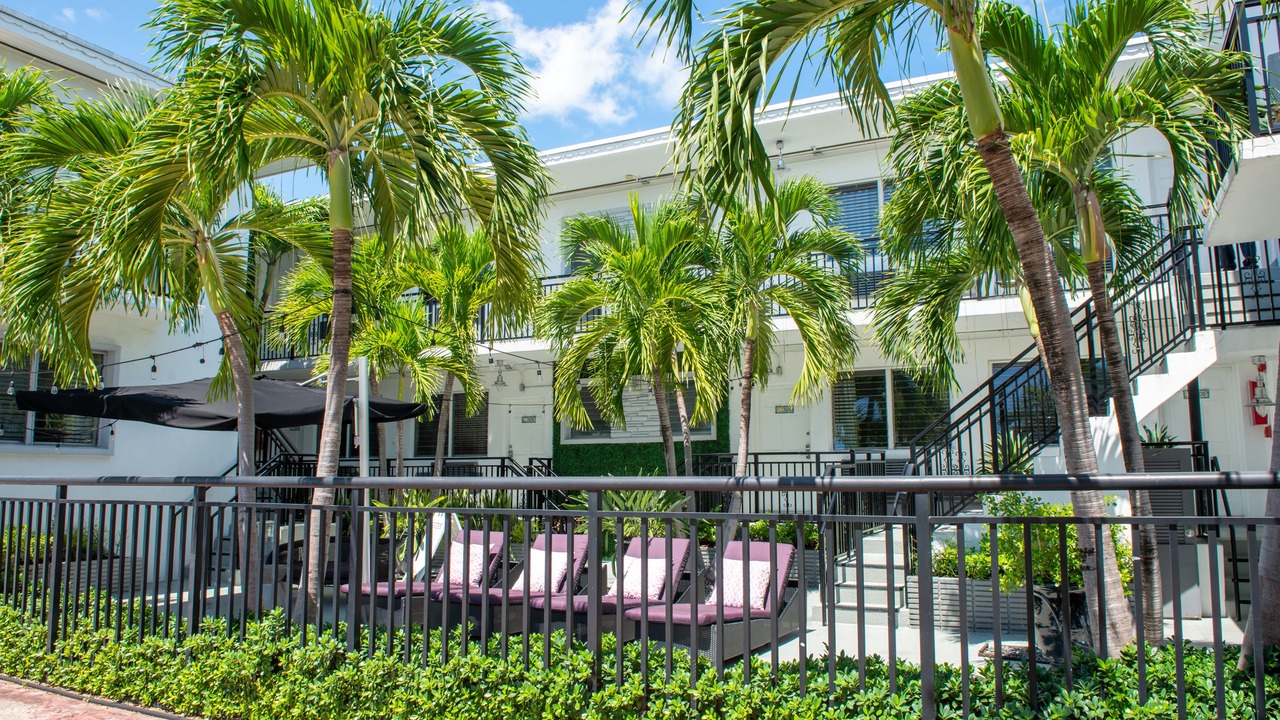Photo of Outdoor in North Beach