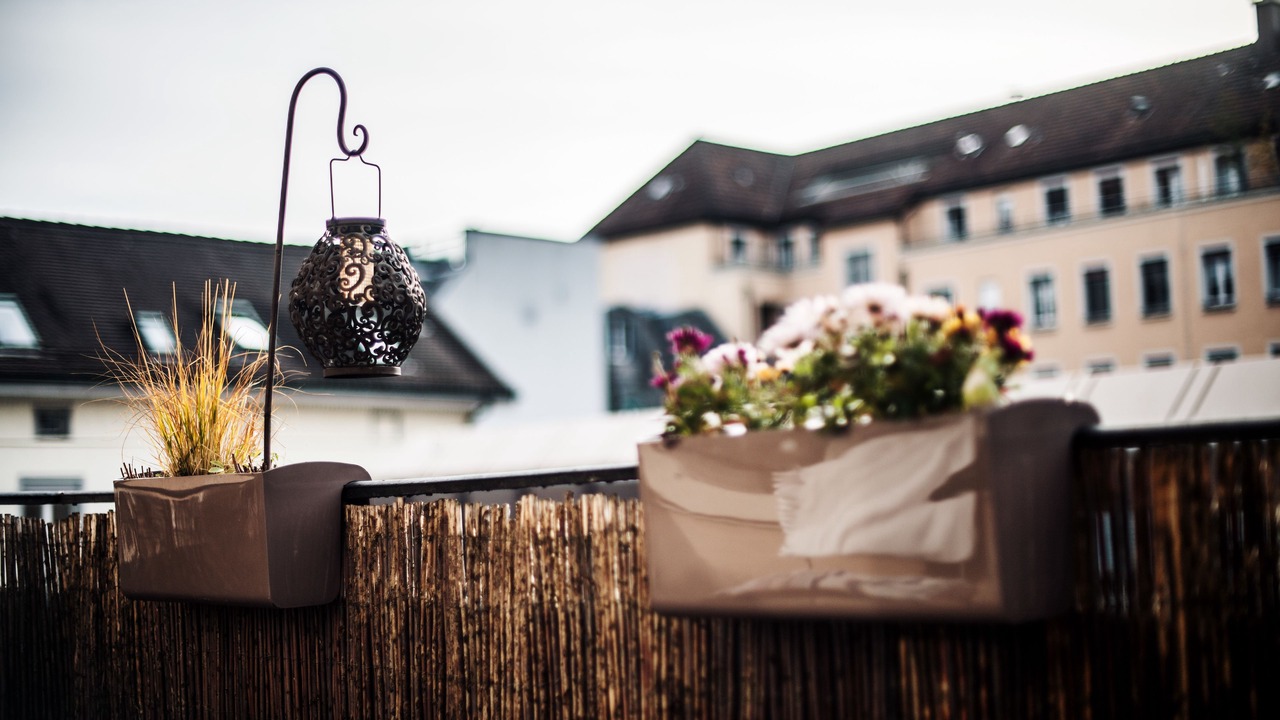 Photo of Others in Seefeld