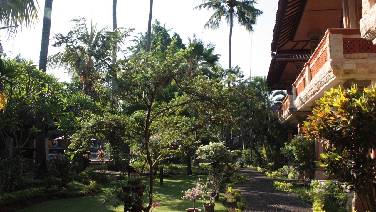 Photo of Outdoor in Lovina