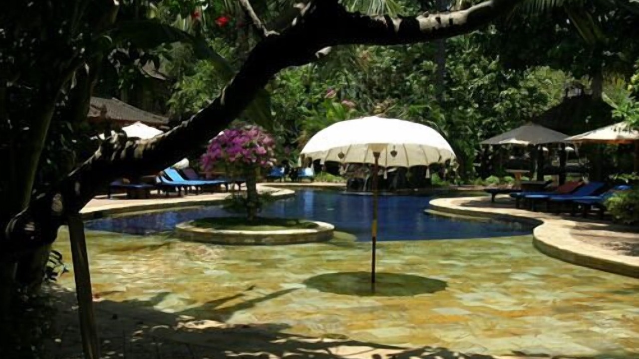 Photo of Outdoor in Lovina