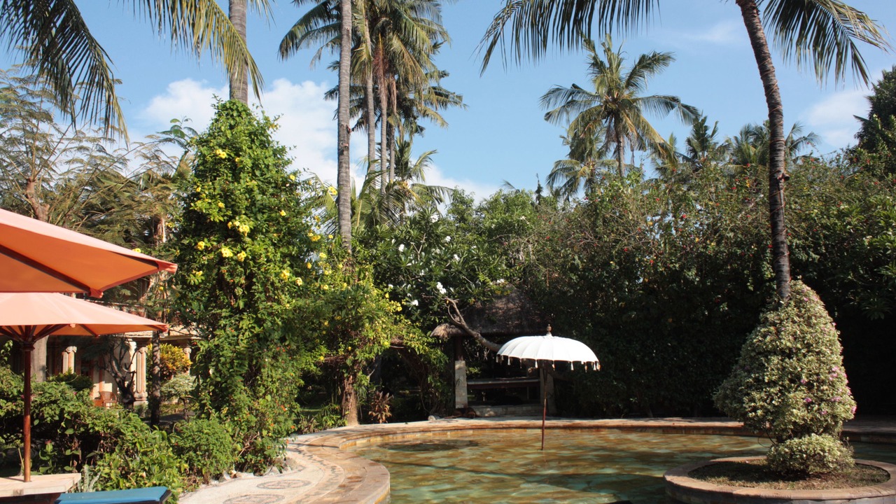 Photo of Outdoor in Lovina