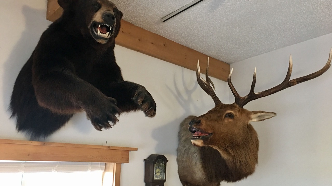 Photo of Others in Alpena