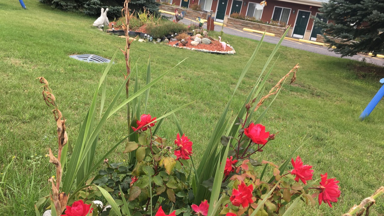 Photo of Outdoor in Alpena
