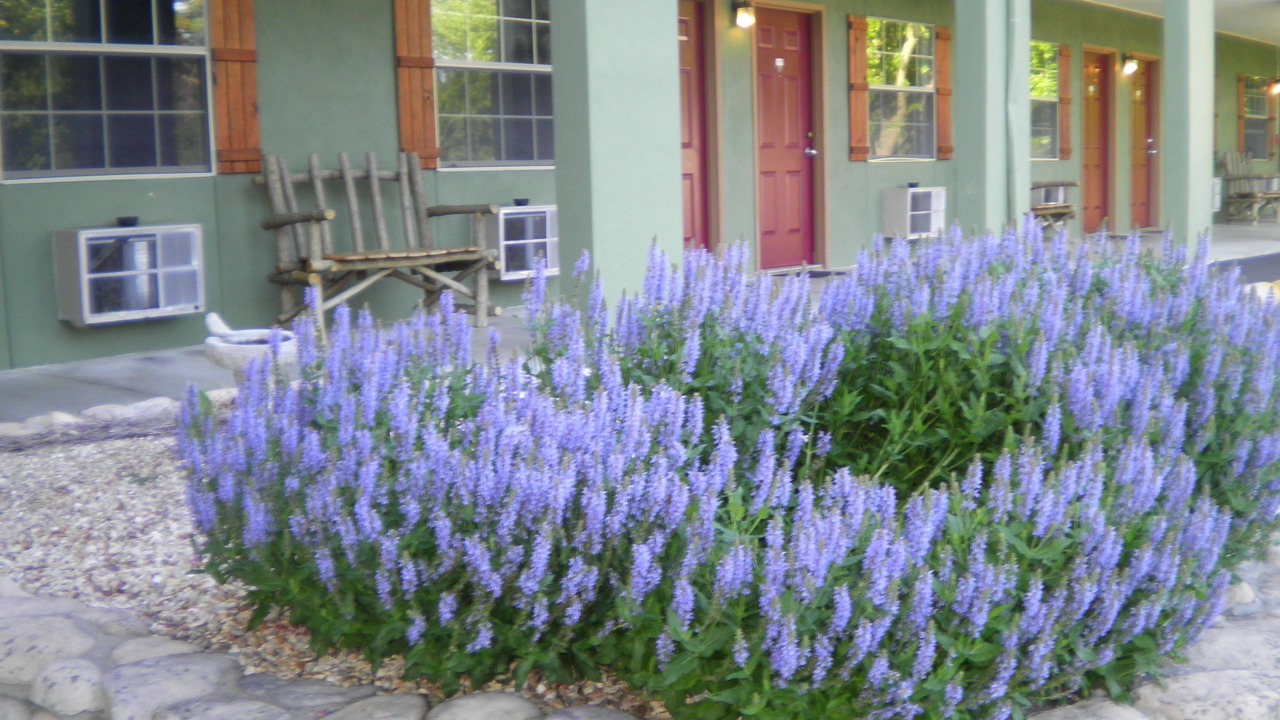 Photo of Outdoor in Eureka Springs