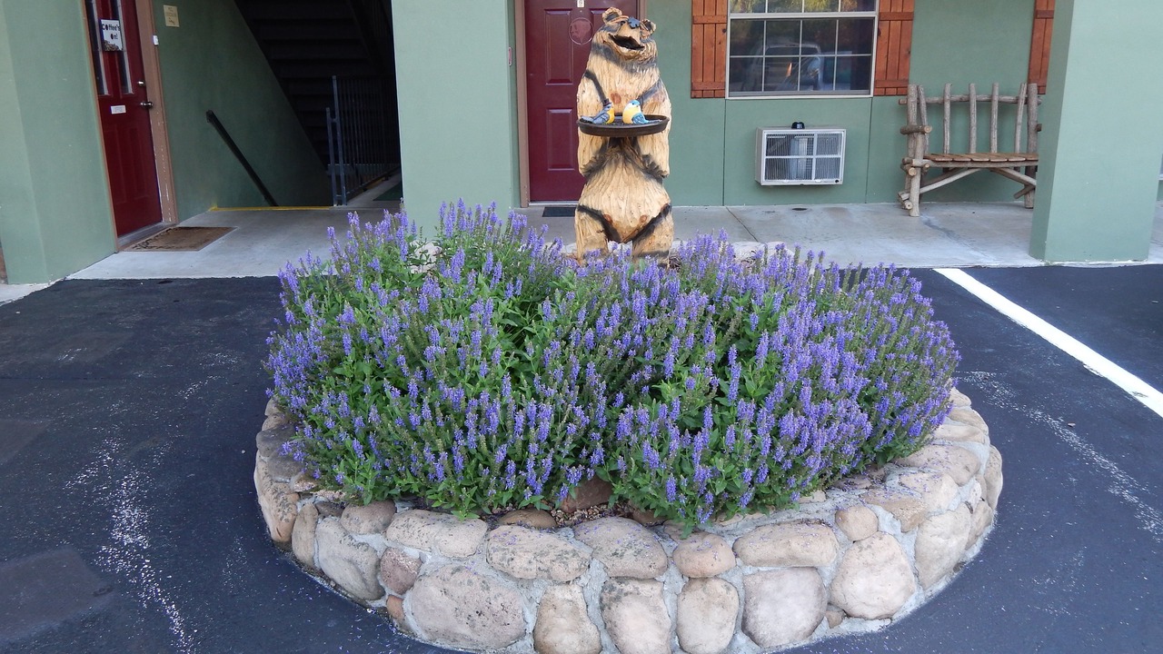 Photo of Outdoor in Eureka Springs