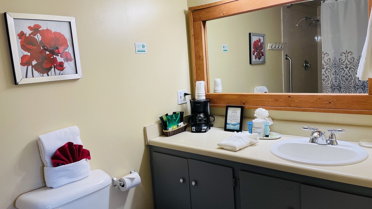 Photo of Bathroom in Eureka Springs