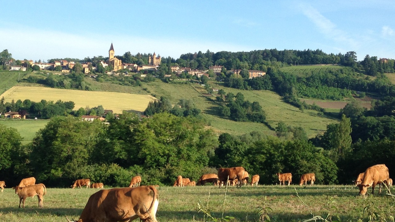 Photo of Outdoor in Bully