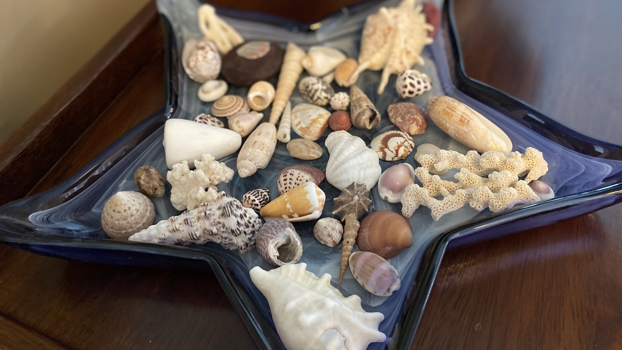 Photo of Others in Chiltonville