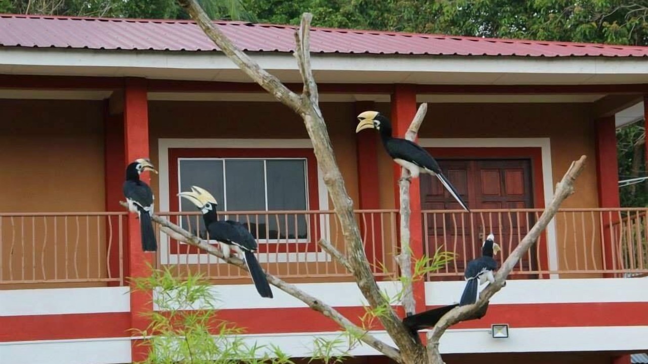 Photo of Outdoor in Teluk Nipah