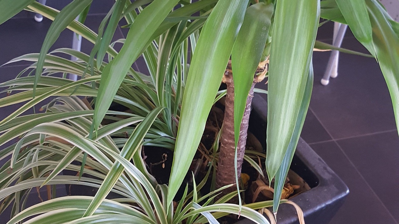 Photo of Outdoor in Slagelse