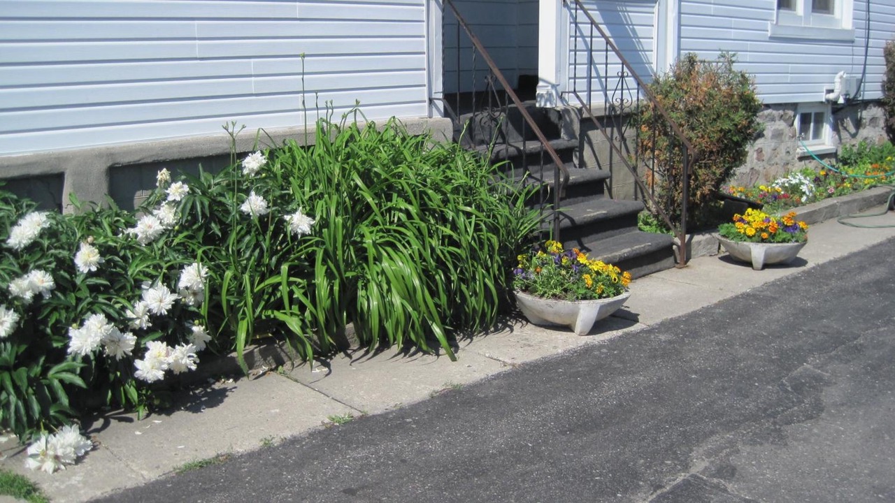 Photo of Outdoor in Stratford