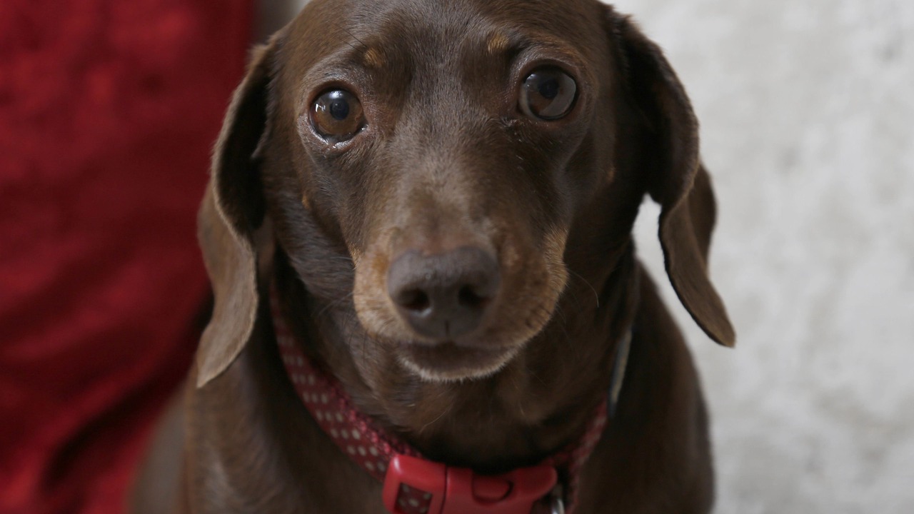 Photo of Others in Melton Mowbray