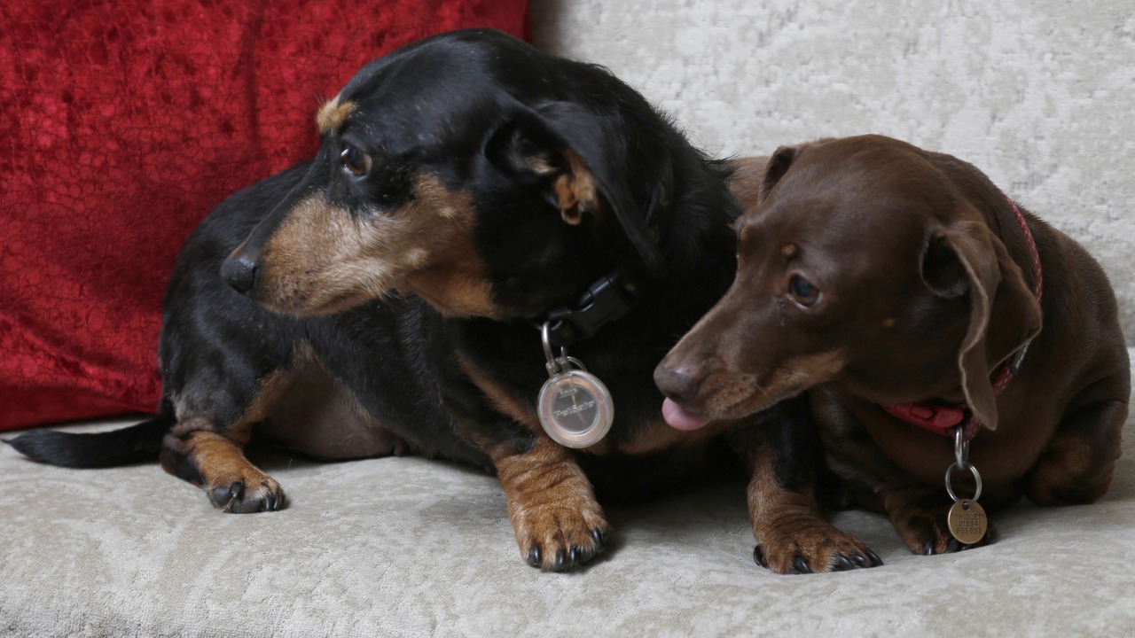 Photo of Others in Melton Mowbray