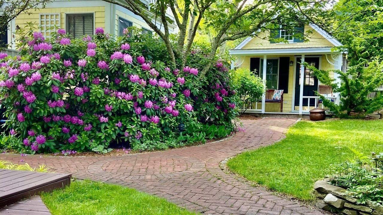 Photo of Outdoor in Provincetown