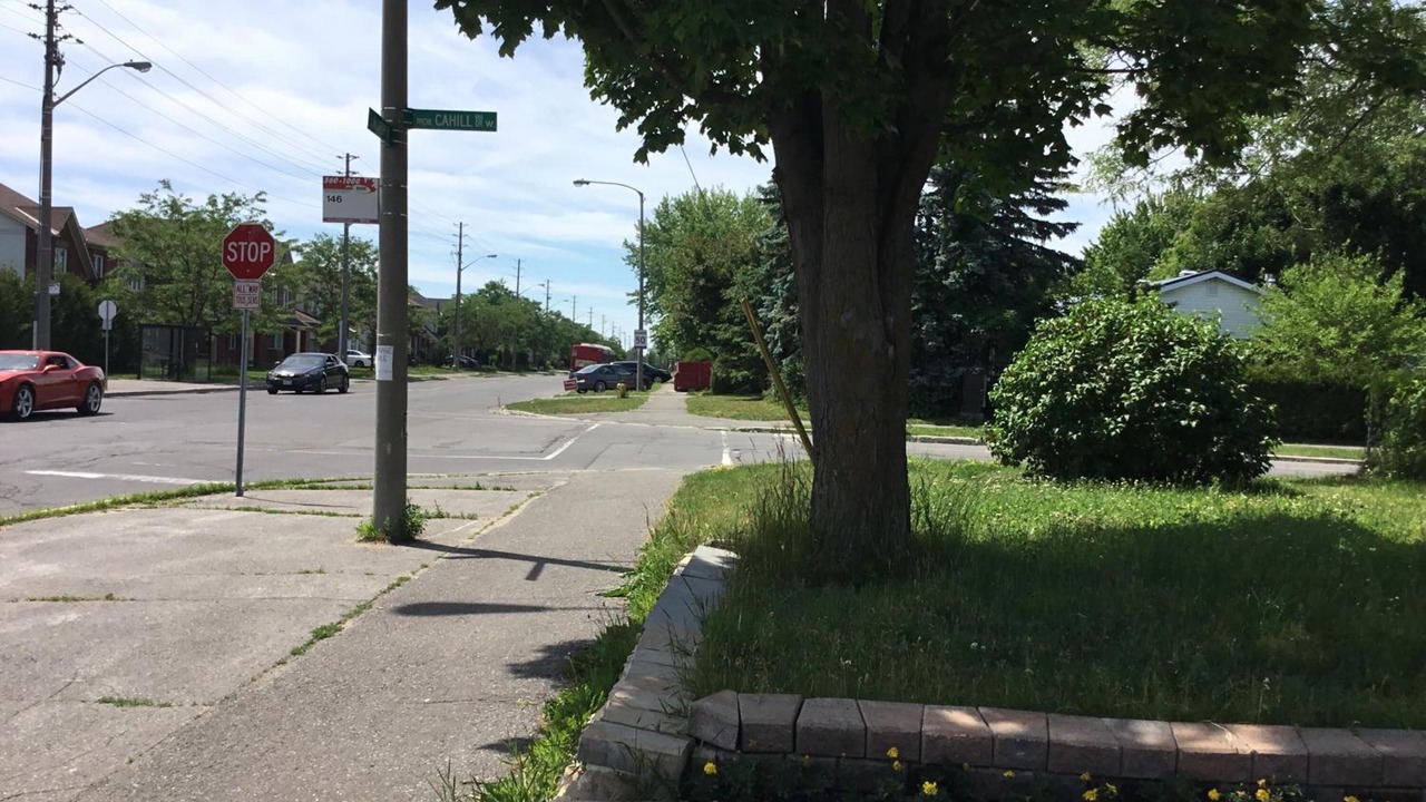 Photo of Outdoor in Ottawa Division