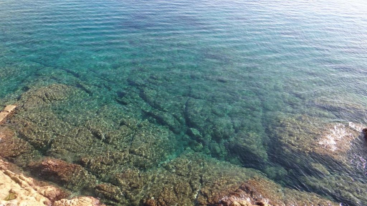 Photo of Bedroom in L'Ile-Rousse