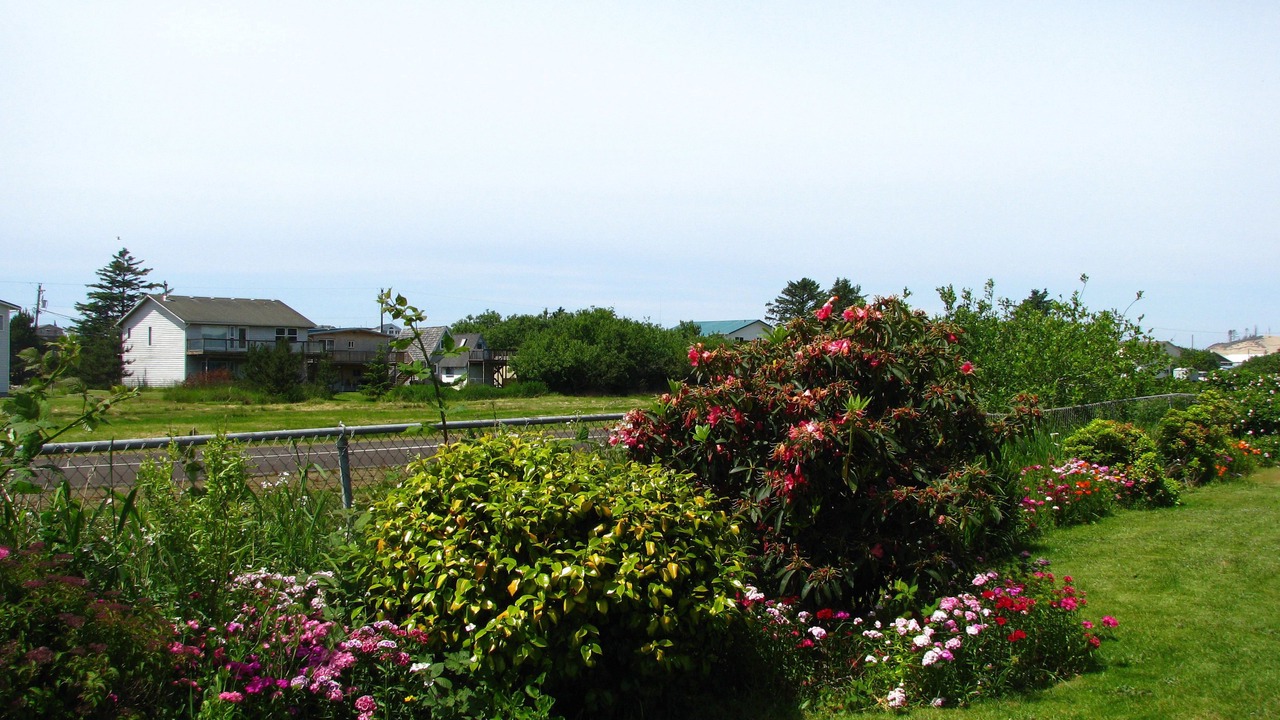 Photo of Outdoor in Pacific City