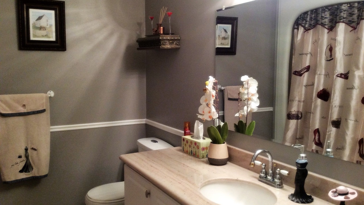 Photo of Bathroom in Ottawa Division