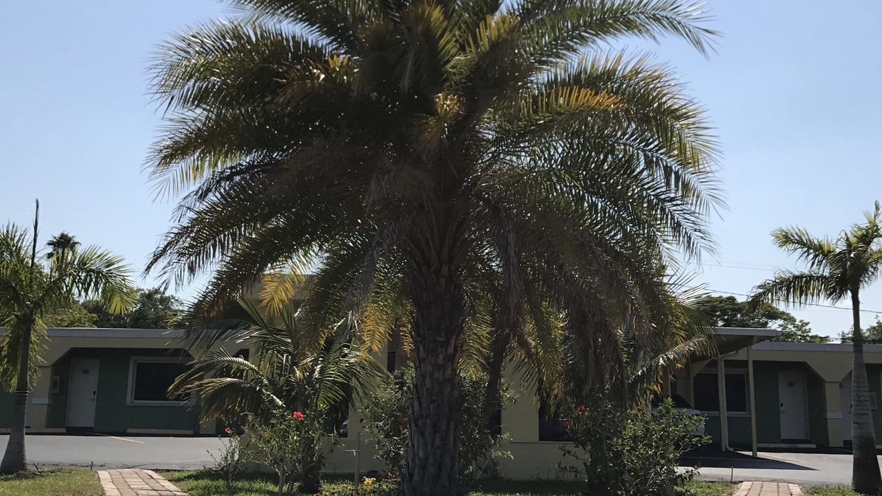 Photo of Outdoor in Cocoa