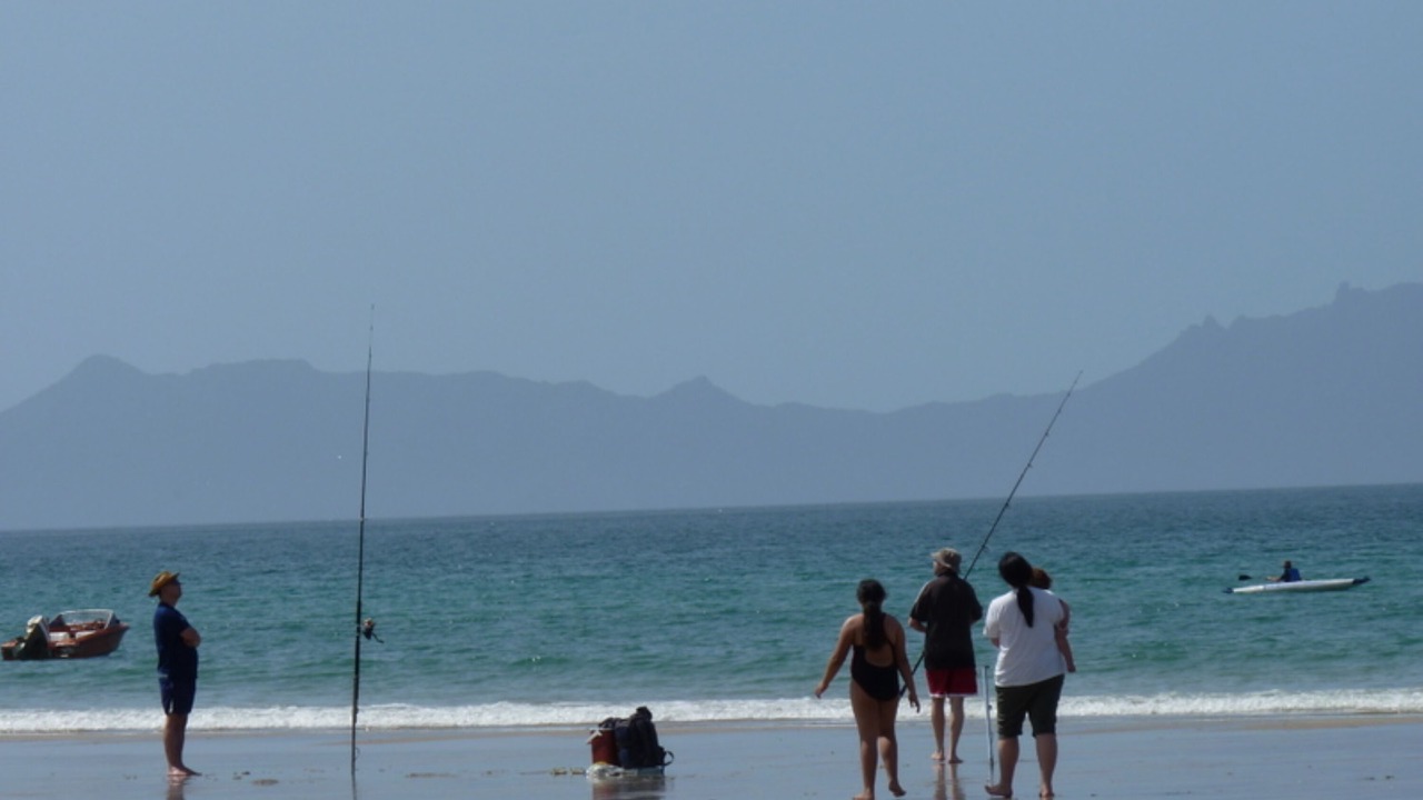 Photo of Others in Waipu Cove