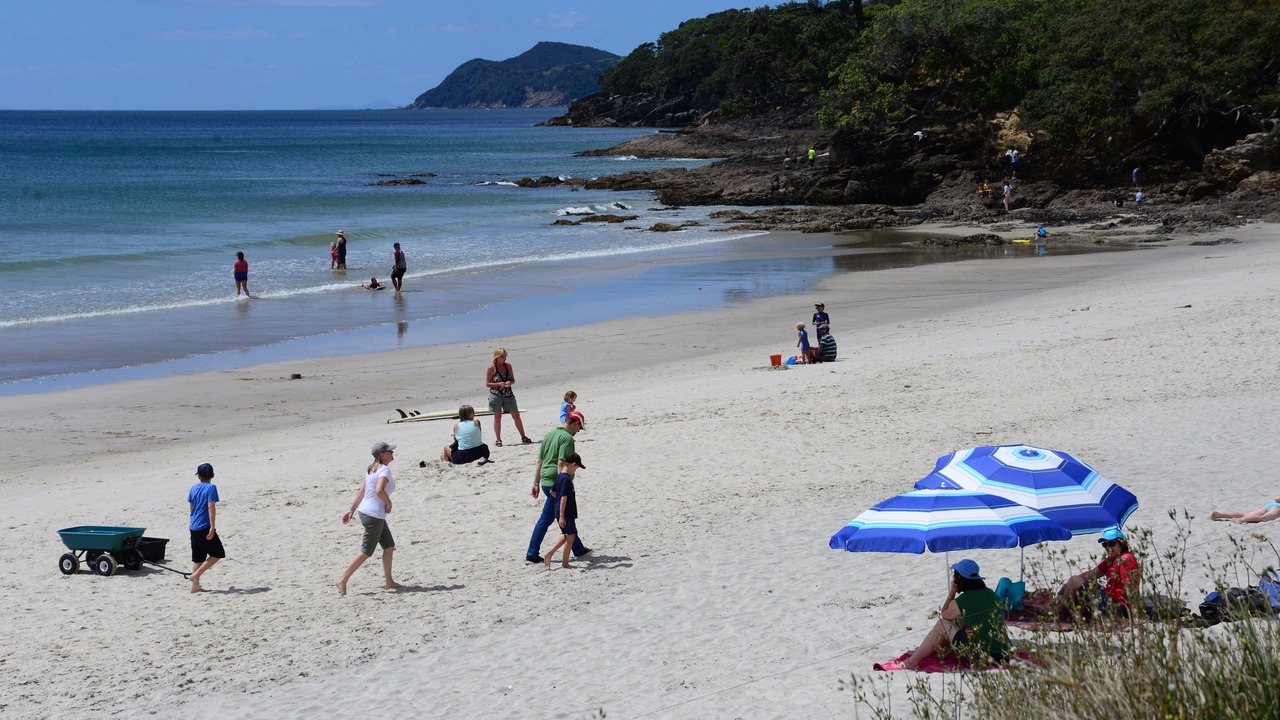 Photo of Others in Waipu Cove